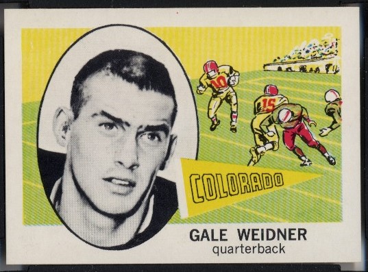 168 Gale Weidner